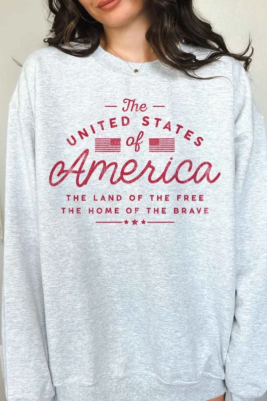 UNITED STATES OF AMERICA GRAPHIC SWEATSHIRT - July 4th sweater - Online Exclusive